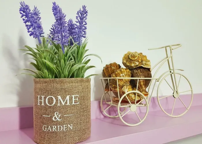 Starfish Daire Navodari